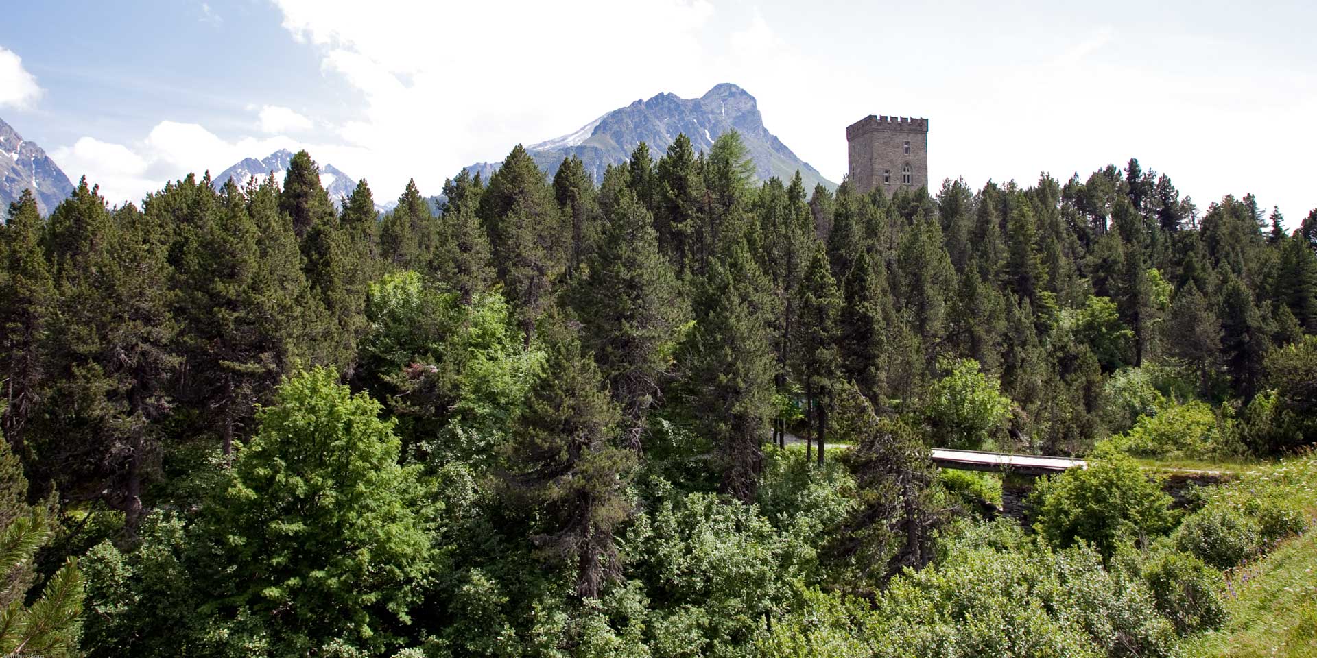 Naturzentrum Torre Belvedere | Pro Natura