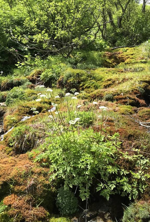 Naturschutzgebiete | Pro Natura